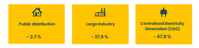 Consumption of public distribution, large industrial customers and Centralised Electricity Generation