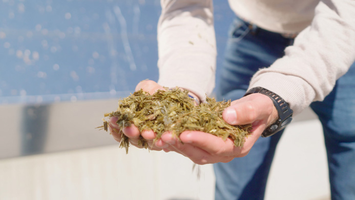 Nous alimentons le méthaniseur avec différentes matières organiques, issues de l’exploitation agricole et du territoire.
