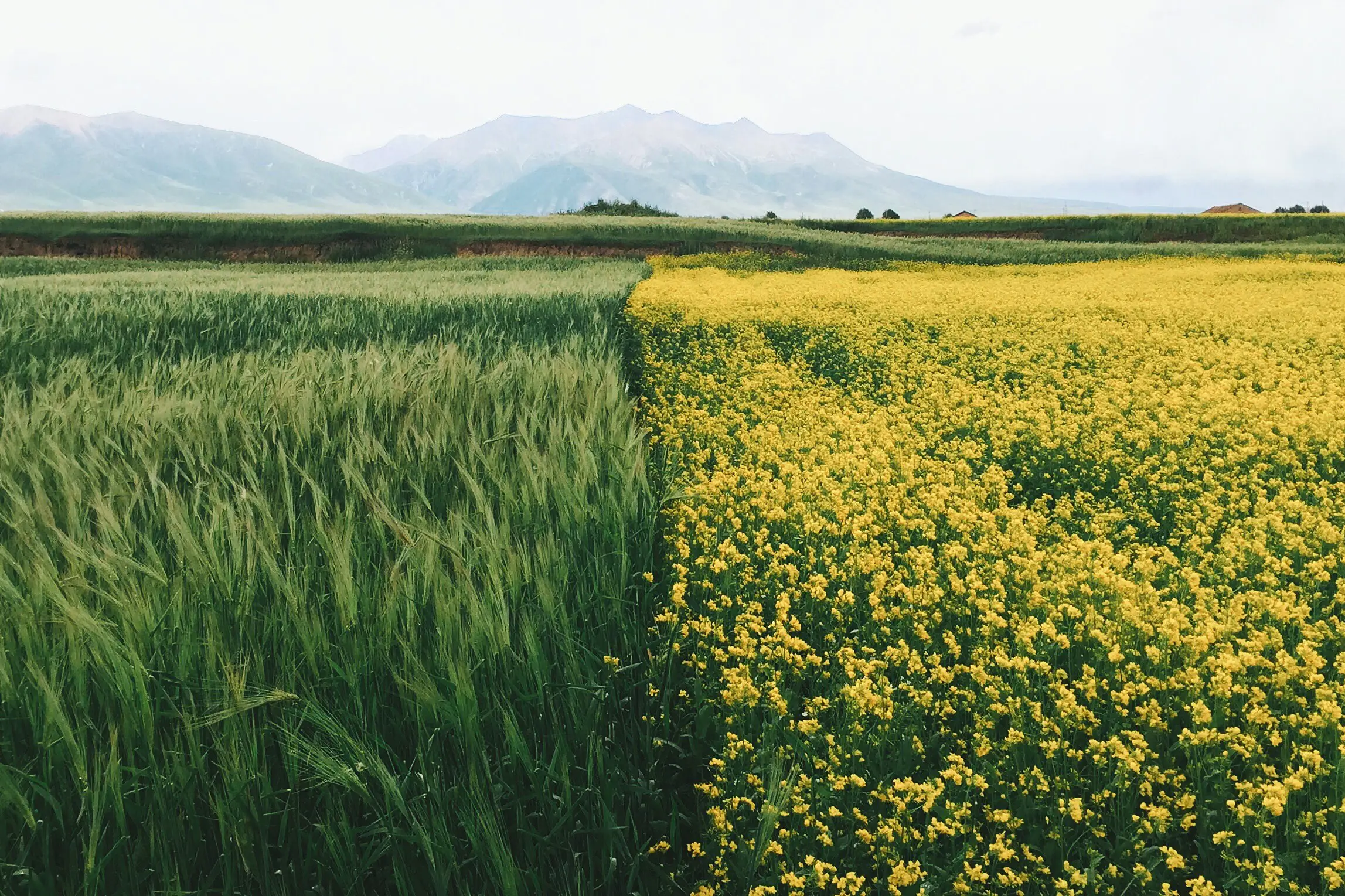 Photo nature - Loren Gu