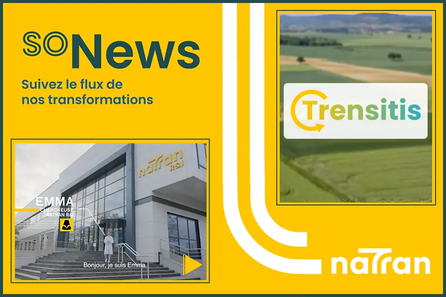 Logo soNews et trensitis