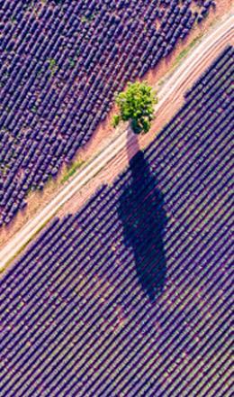 Nous respectons la nature des territoires.