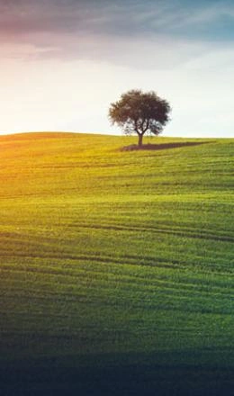 Nous développons des technologies d’avenir