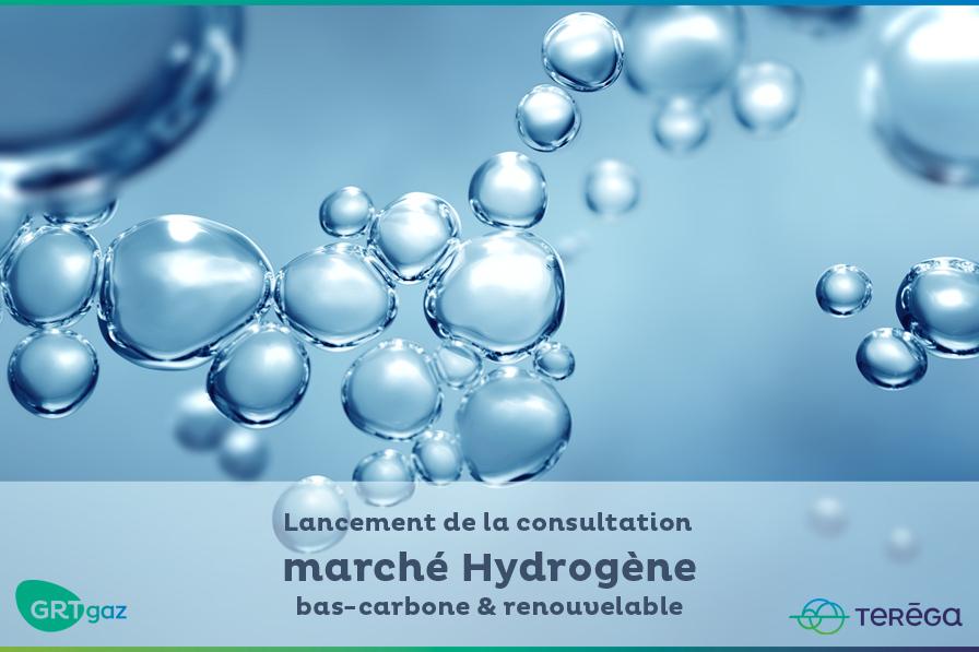 Lancement de la consultation marché Hydrogène bas-carbone & renouvelable