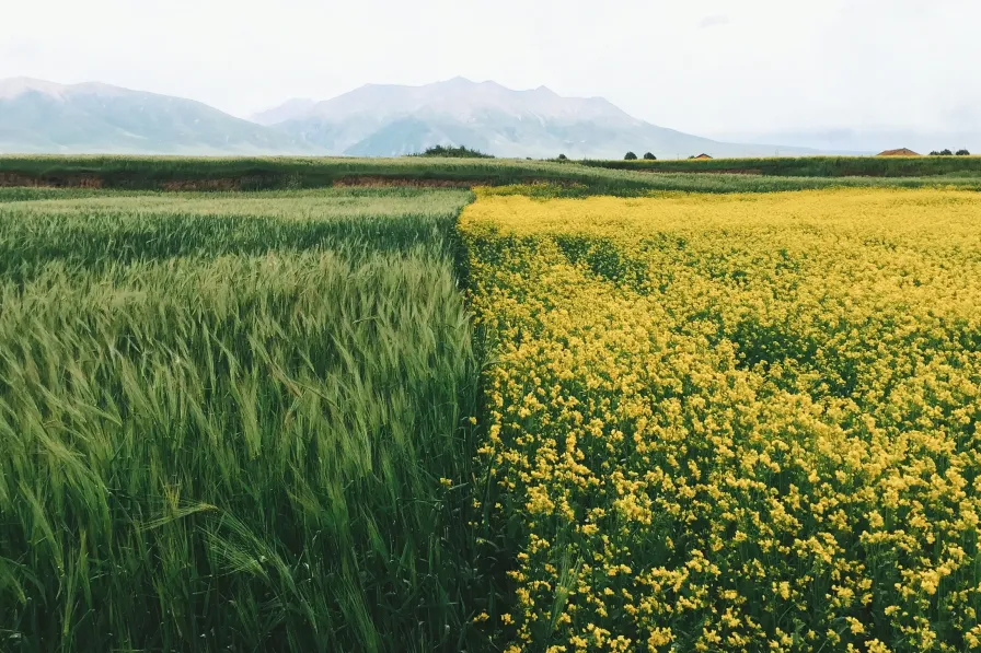Photo nature - Loren Gu