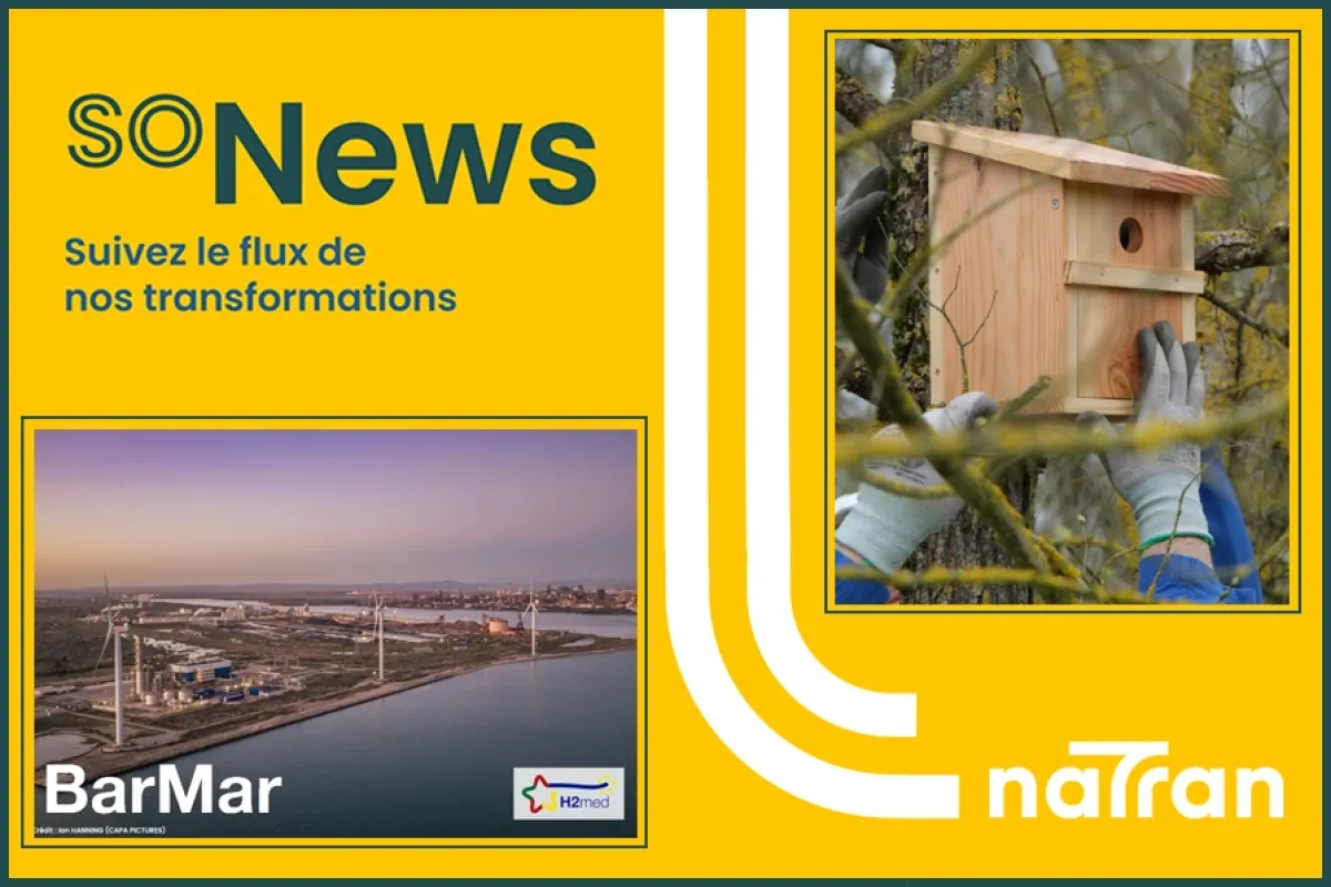 Lettre d'information soNews