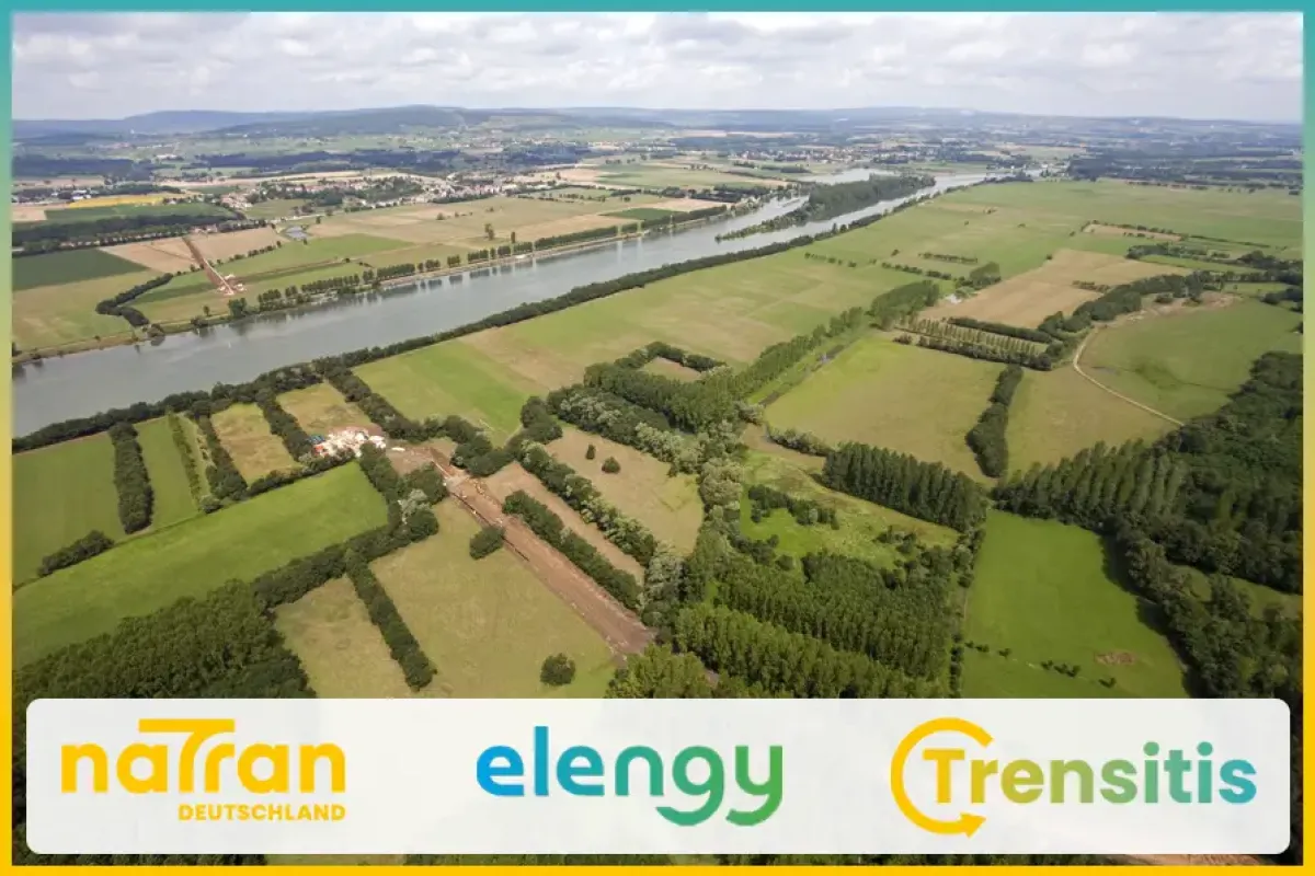 Logos naTran Deutschland, elengy, Trensitis