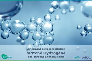 Low-carbon and renewable hydrogen market stakeholders’ consultation