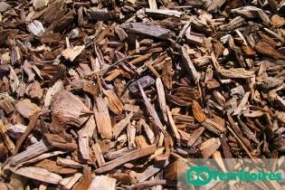 Photo : Getty images - Andra Boda / EyeEm