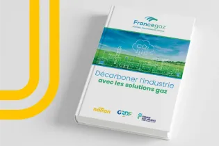 Livre blanc : décarboner l’industrie par les solutions gaz