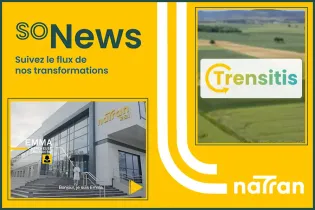 Logo soNews et trensitis