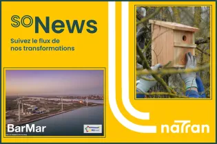 Lettre d'information soNews