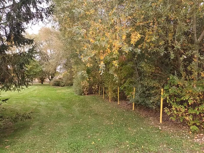 Jardin du site de Taisnières-sur-Hon (NaTran 2025)